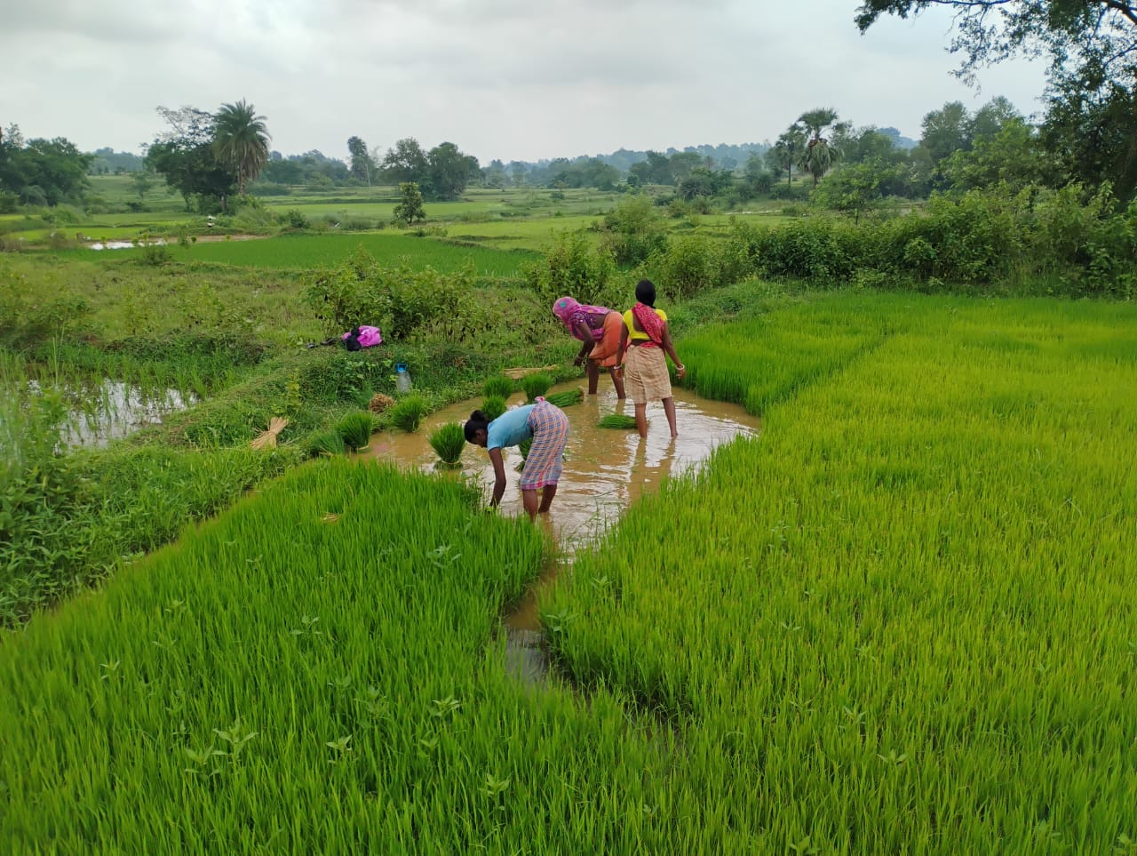 Empower Santhal Youth, Stop Forced Migration